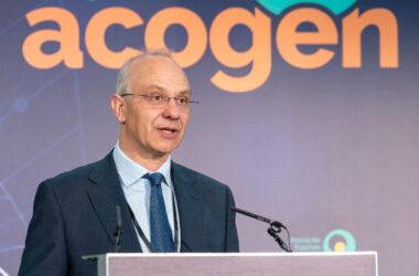 Presidente de Acogen, Rubén Hernando